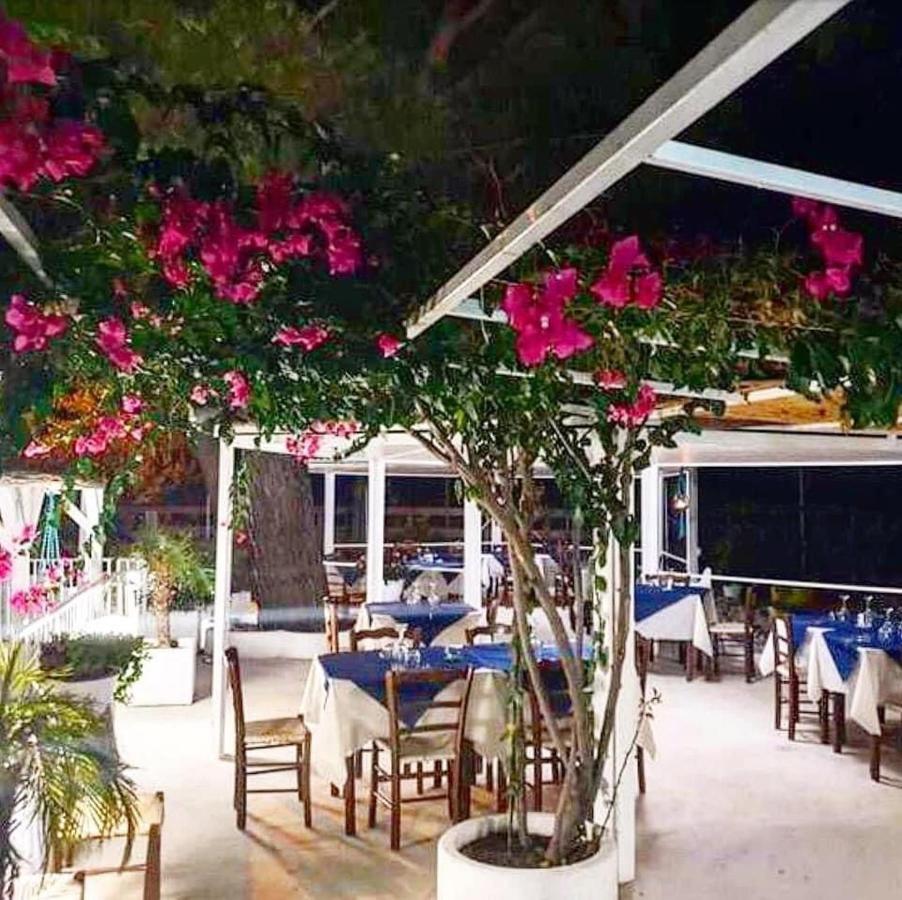 Miramare Bed&Food - Free Parking & Wifi San Nicola Arcella Exterior foto
